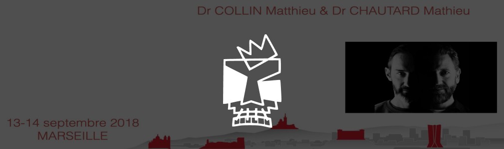 Dr Collin piliers All-on-4 Maxillaire